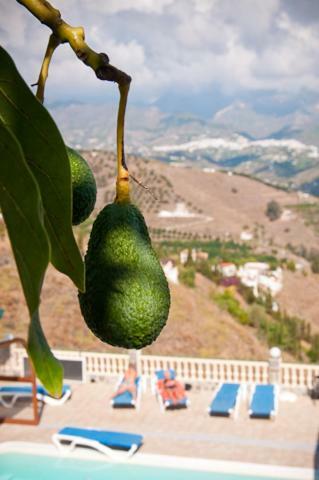 Сasa de vacaciones Zorro Fugaz En Puntalara Nerja